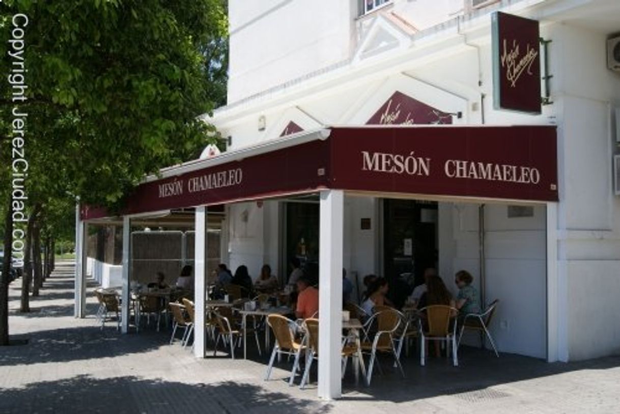 Restaurants Mesón Chamaeleo