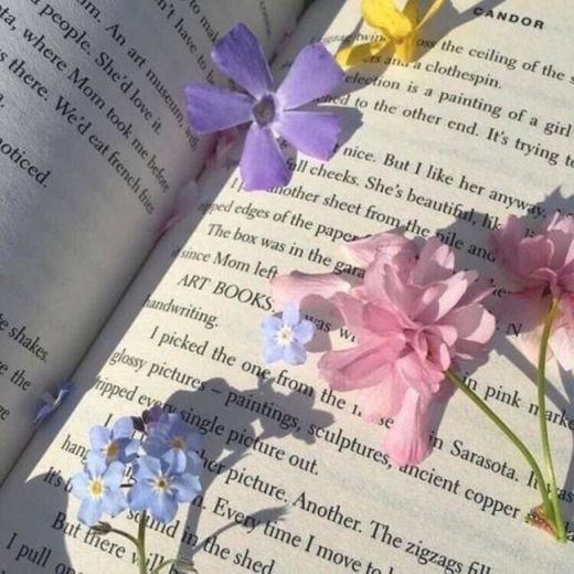 ✨📗🏵️🌻🌸🌼✨