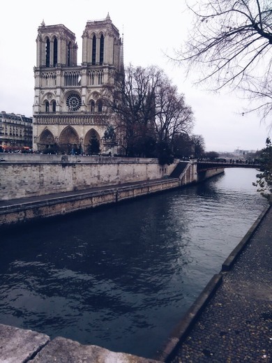 Notre Dame