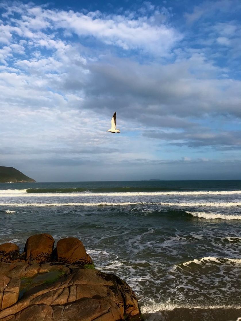 Place Praia da Solidão