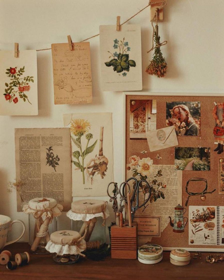 Social AestheticArt 