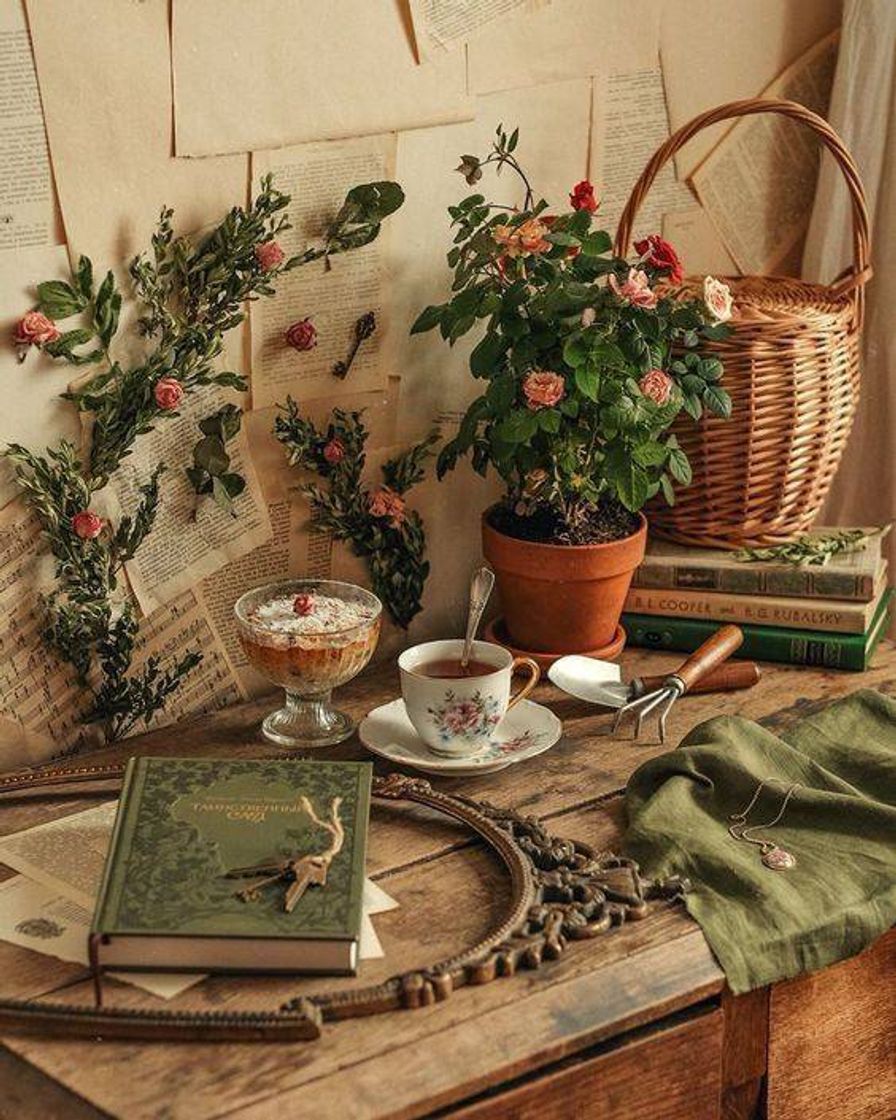 Social Estilo cottage