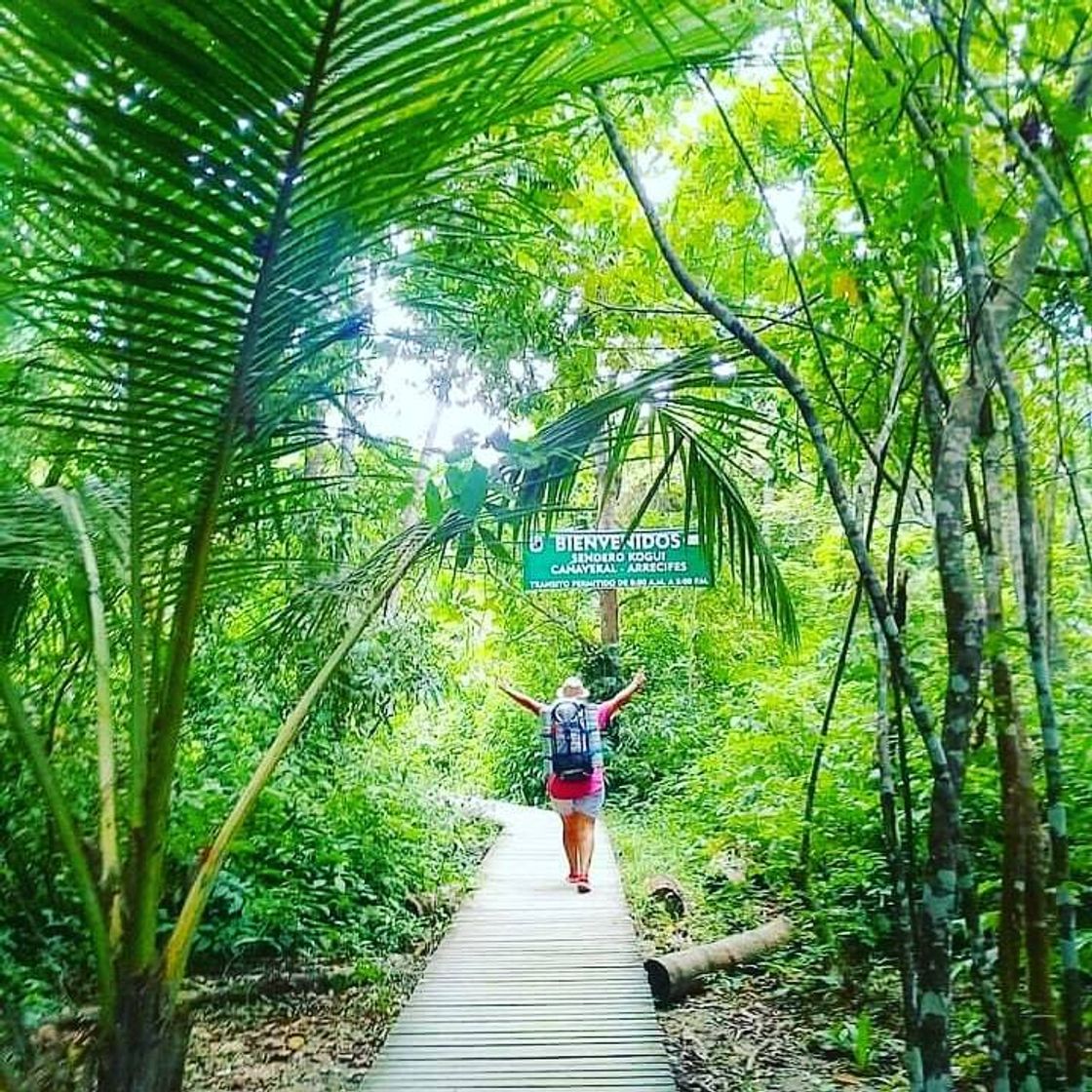 Place Parque Tayrona