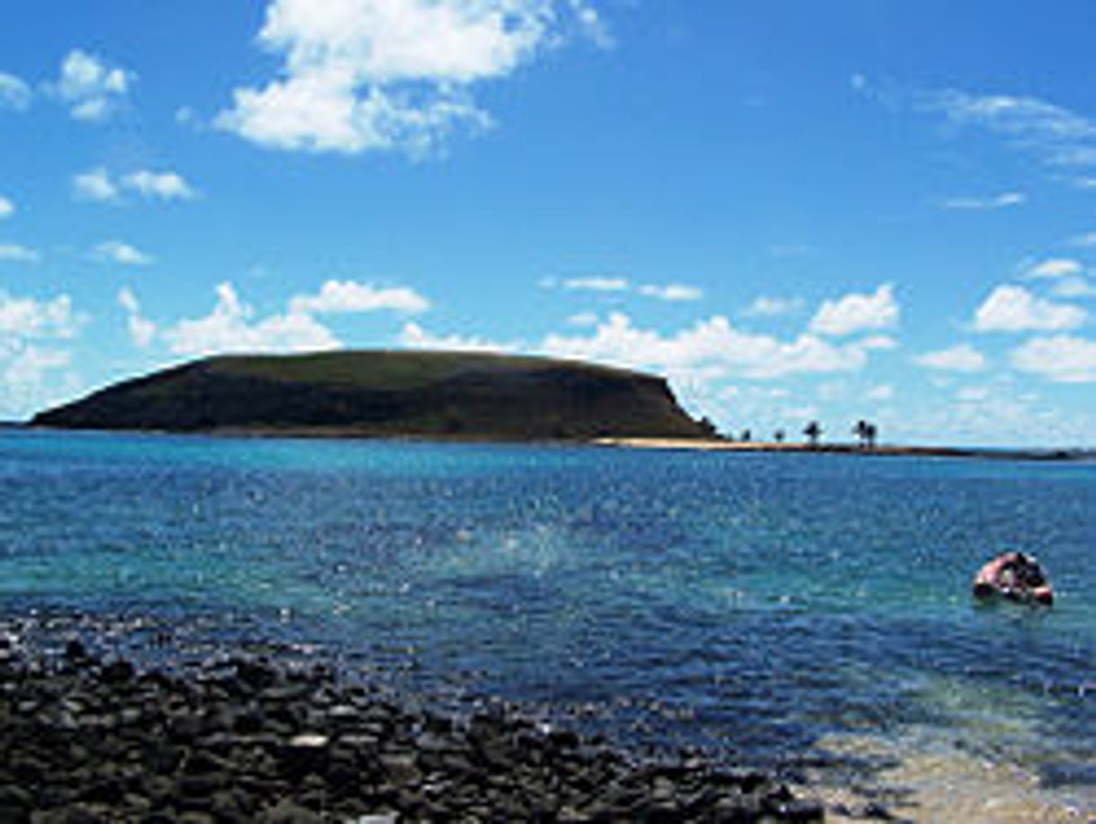 Place Arquipélago de Abrolhos