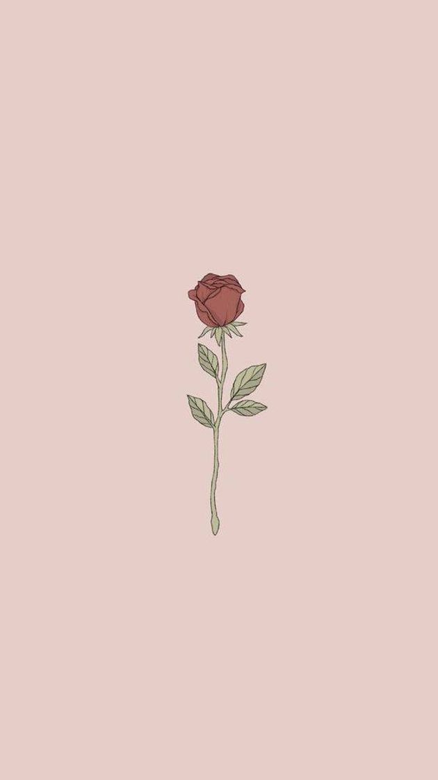 Social Wallpaper flor🥀