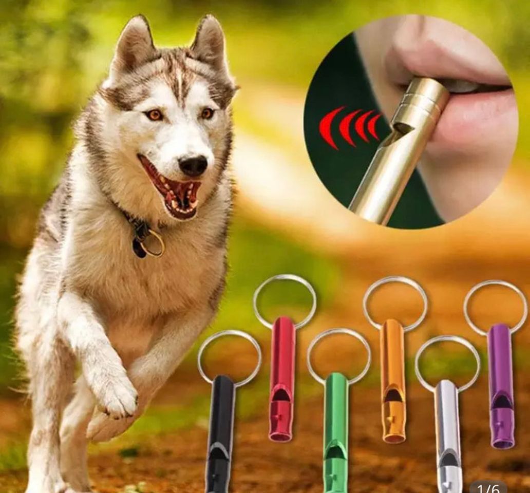 Social Apito para treinar cachorro