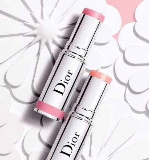 Diorskin Blush Stick 