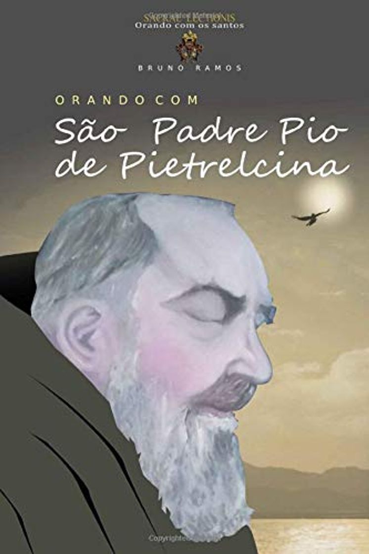 Libros Orando com Sao Padre Pio de Pietrelcina: Oracoes e novena: Volume 1