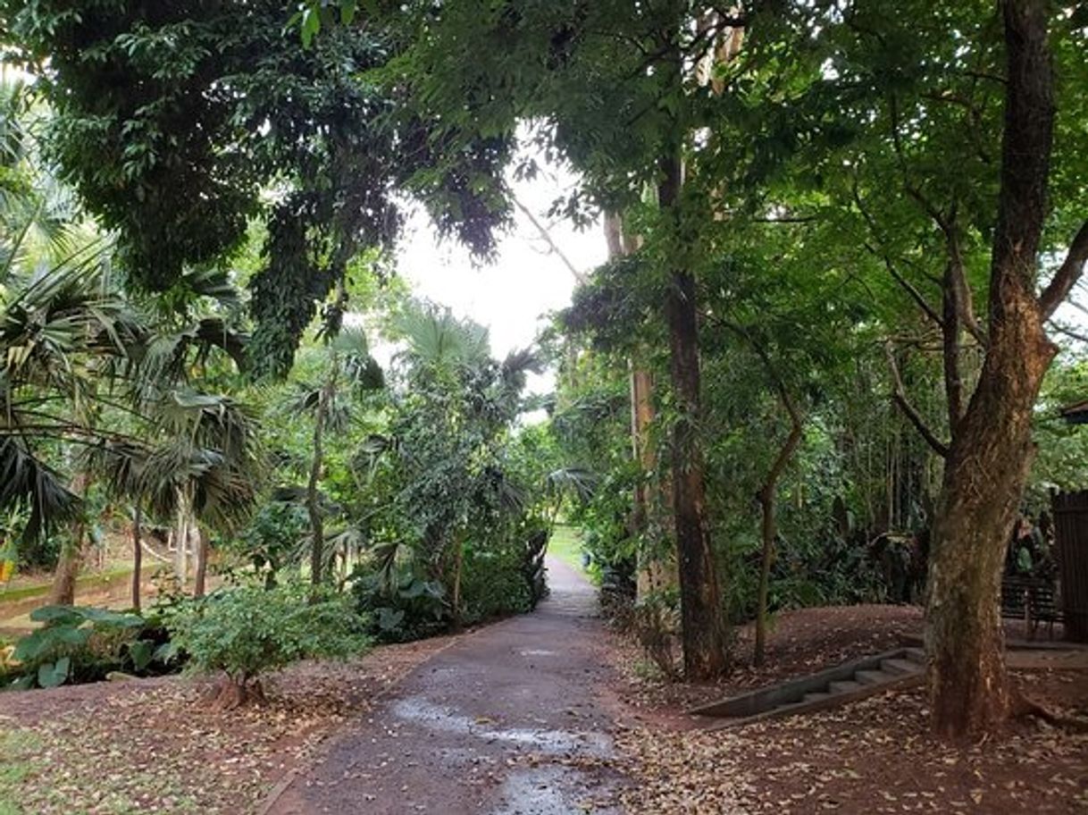 Place Praça Itanhangá