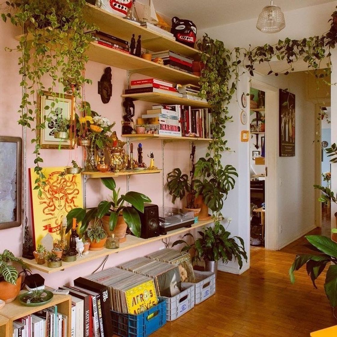 Moda inspiração/decoração 