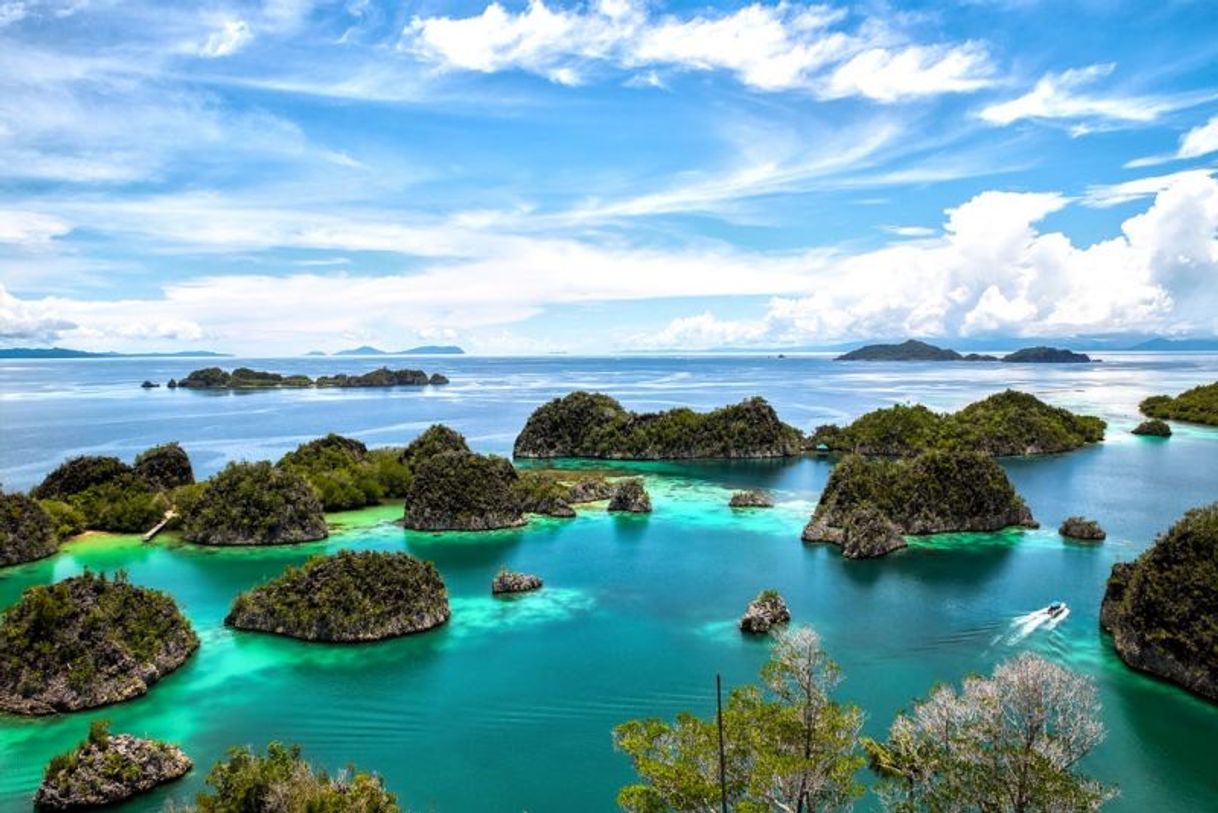 Place Raja Ampat