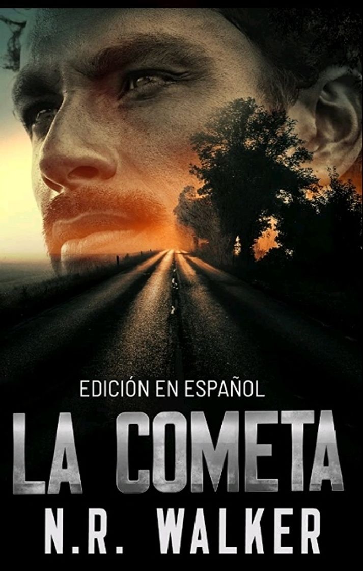 Libro La cometa 