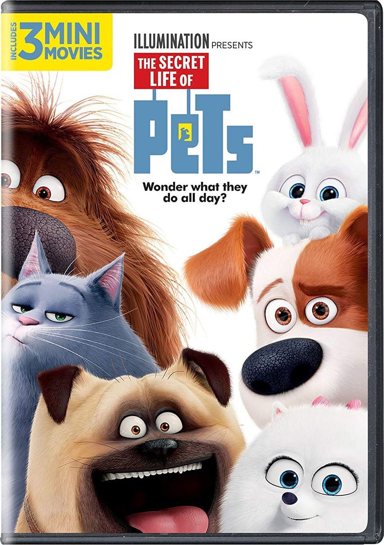 Película The Secret Life of Pets (2016)