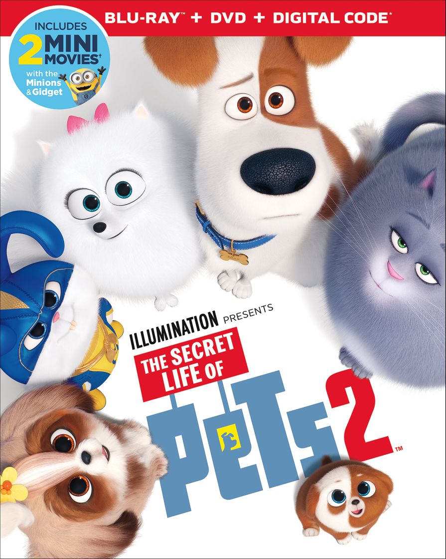 Película The Secret Life of Pets 2 (2019)