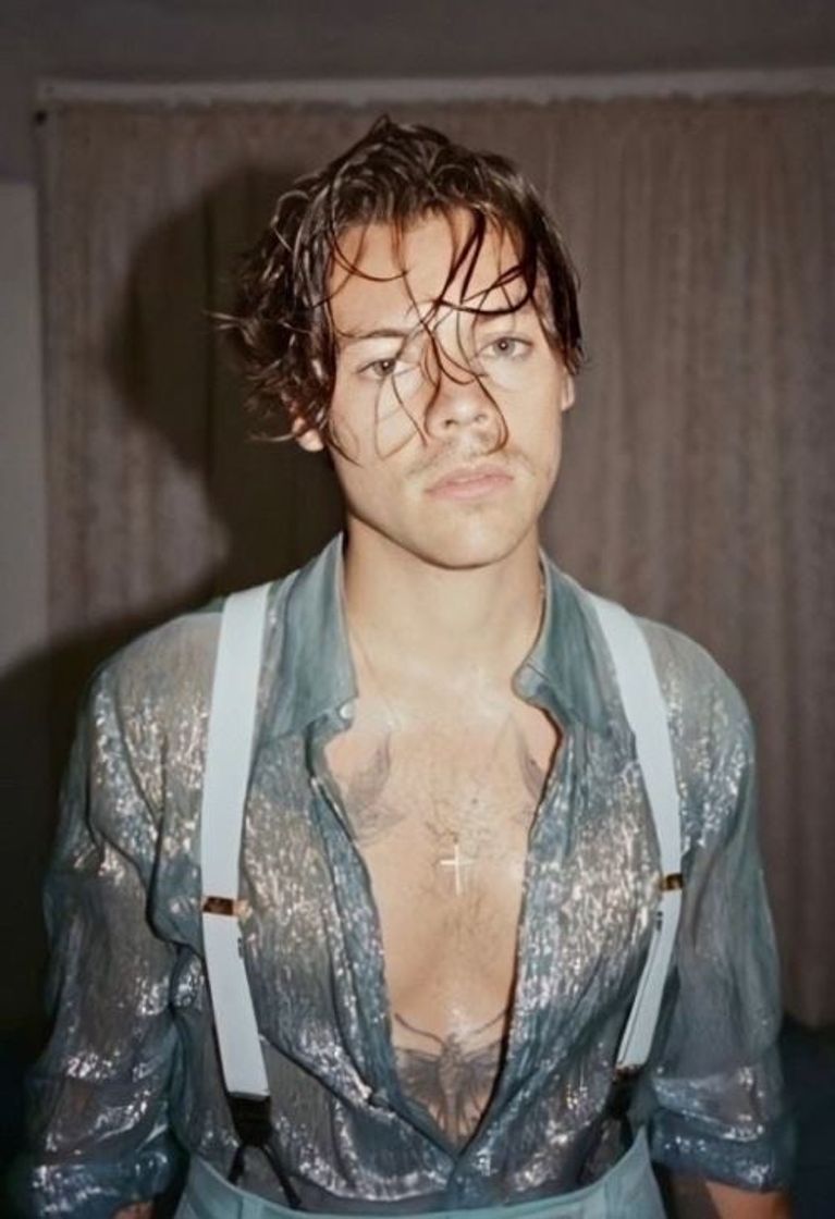 Moda Harry