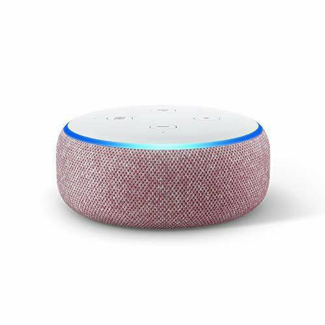 Social Alexa 