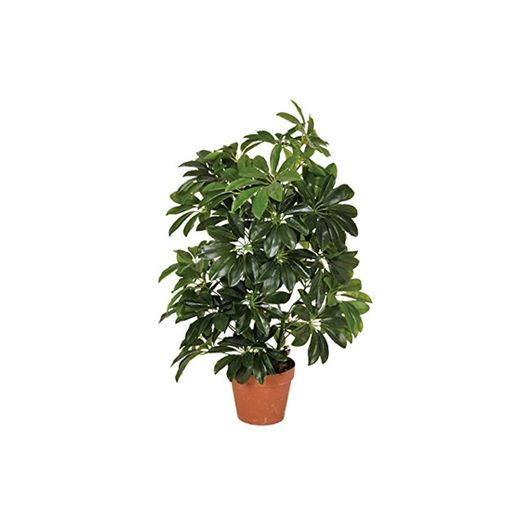 Planta artificial cheflera 65 cm altura