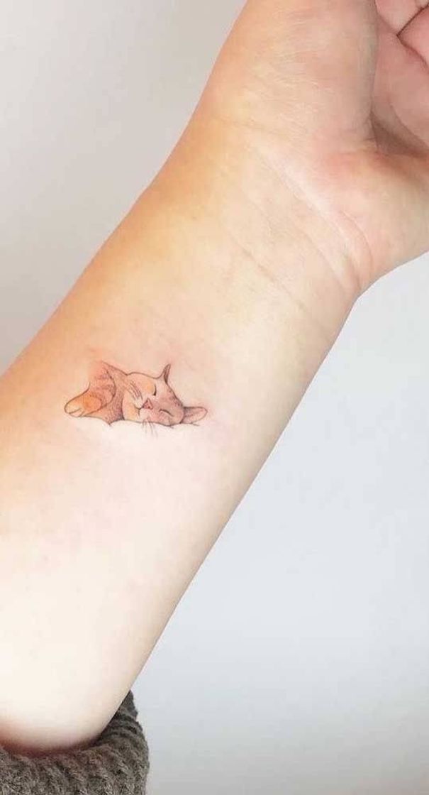 Fashion Tatto de gato!