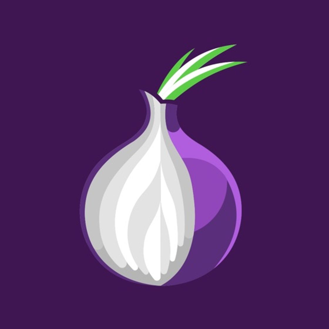 App TOR Browser Private Web + VPN