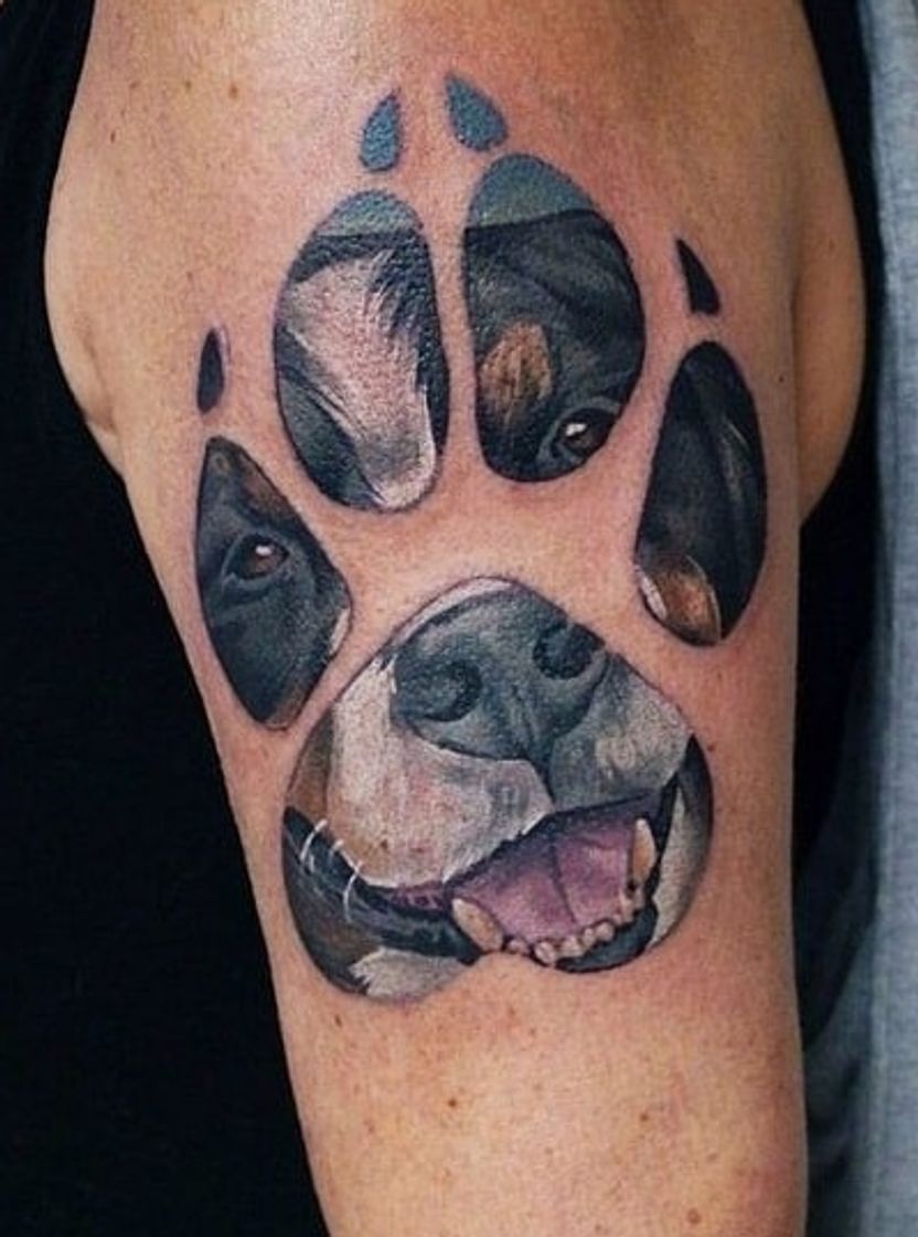 Moda Dog Tatto