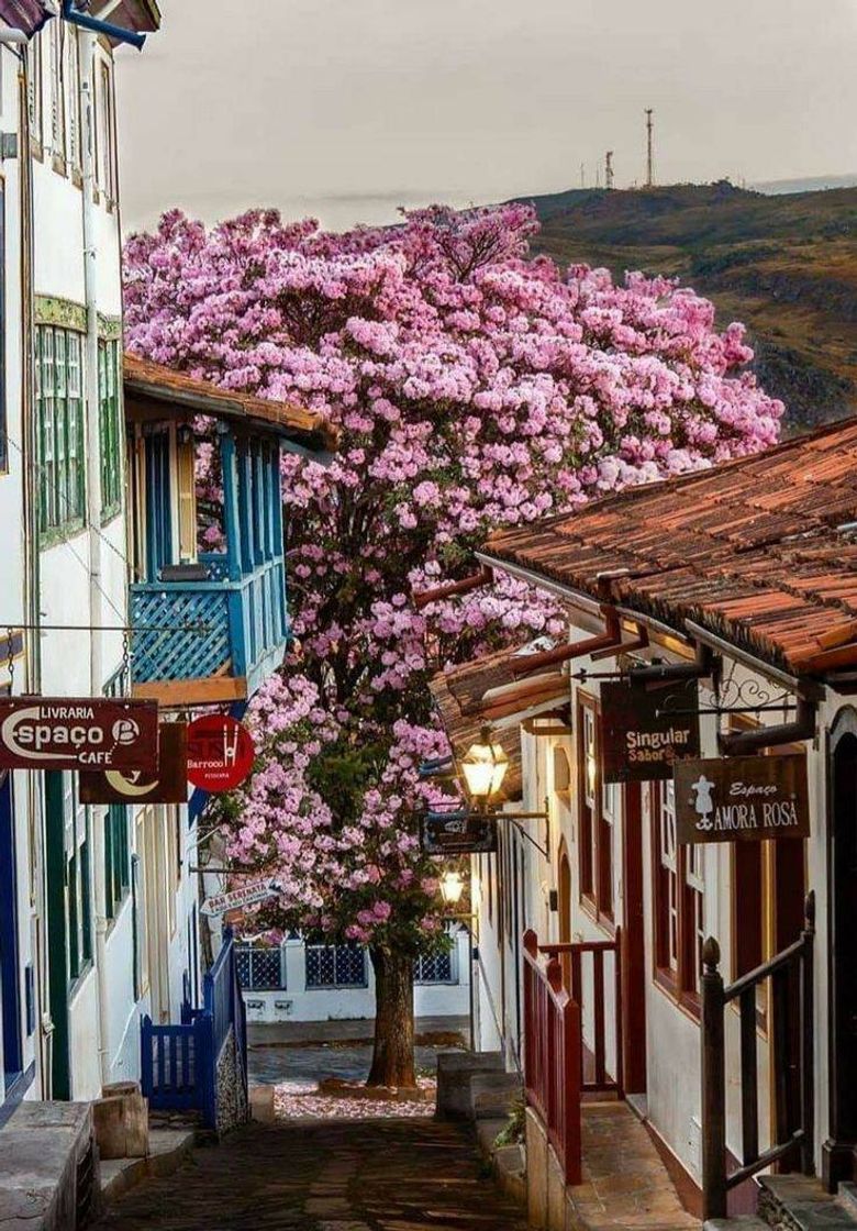 Diamantina - Minas Gerais