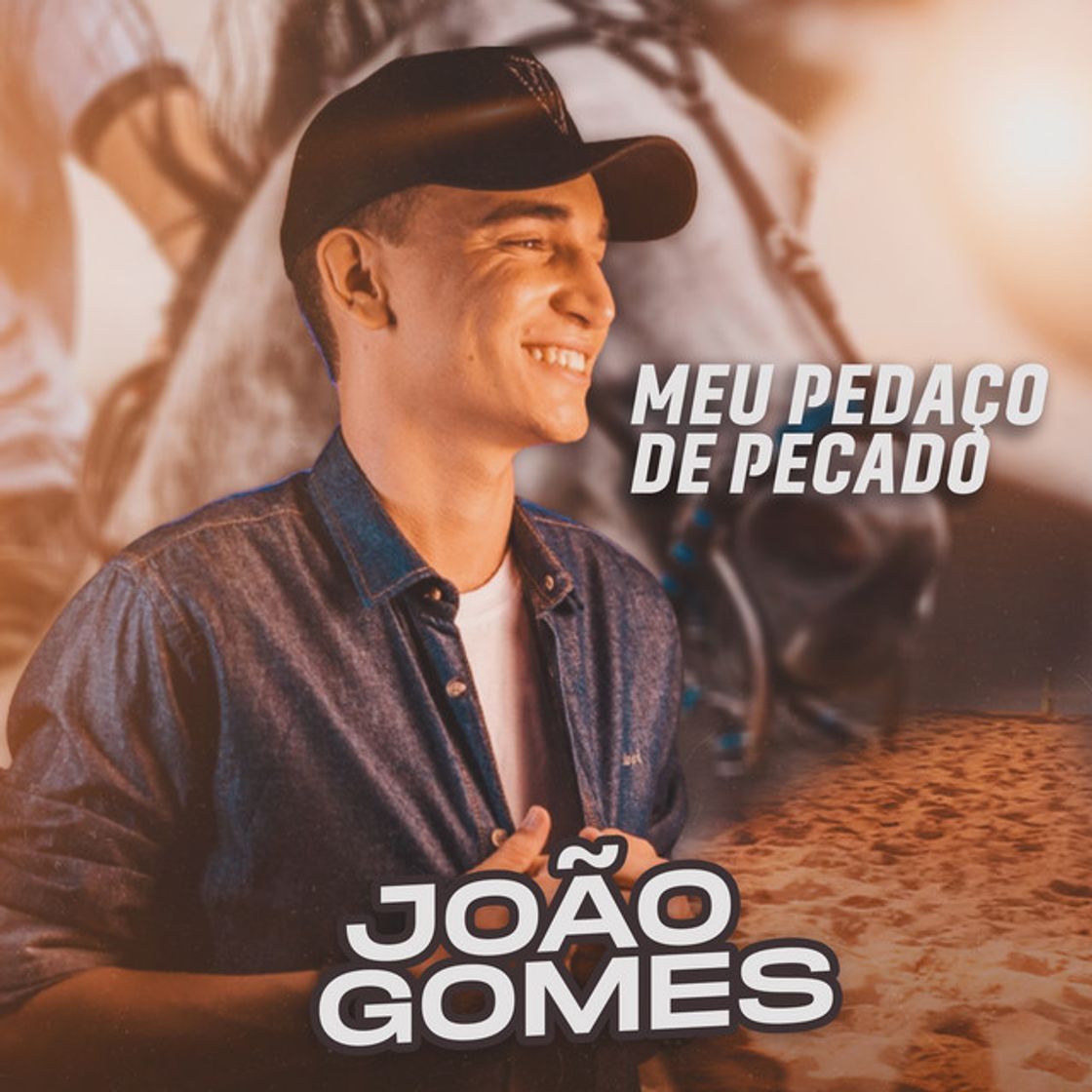 Music Meu Pedaço de Pecado