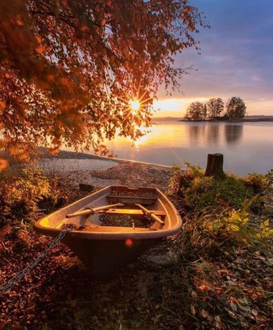 Social Fotografia 📸