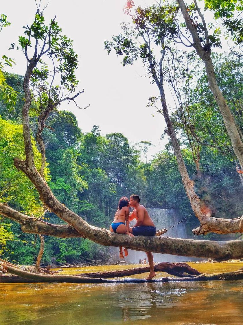 Lugar Cachoeira da Neblina