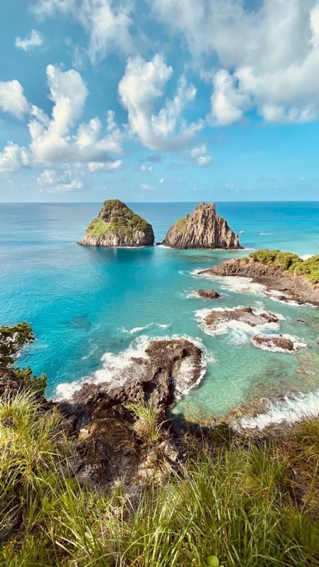 Moda fernando de noronha🌊