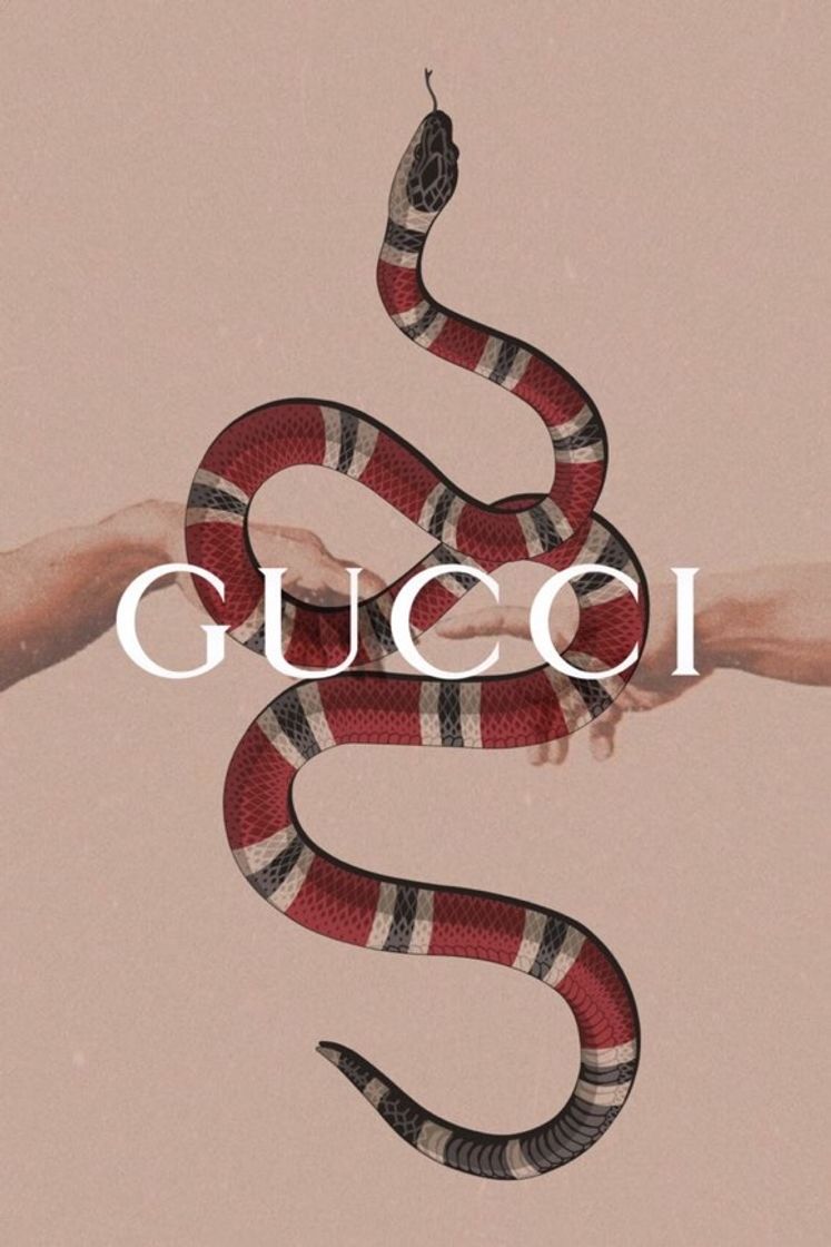 Moda gucci🐍