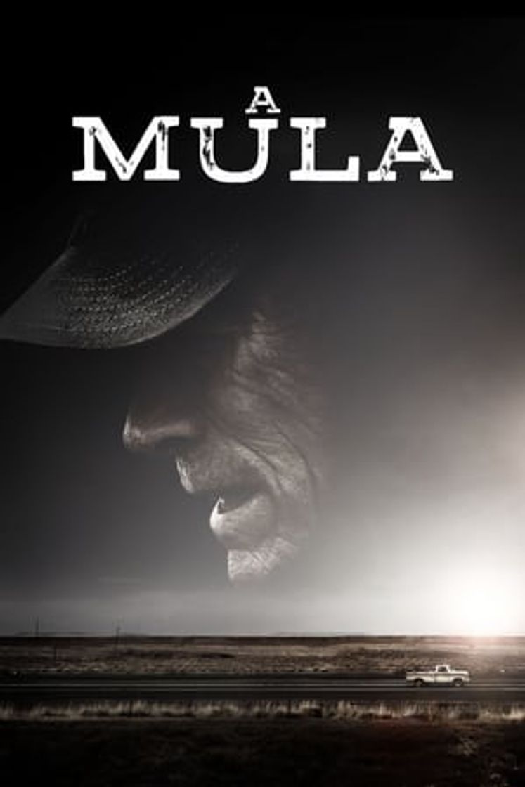 Filme A Mula