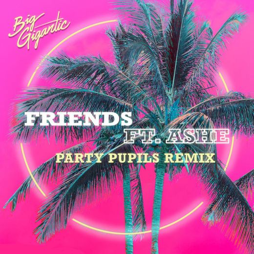 Friends - Party Pupils Remix