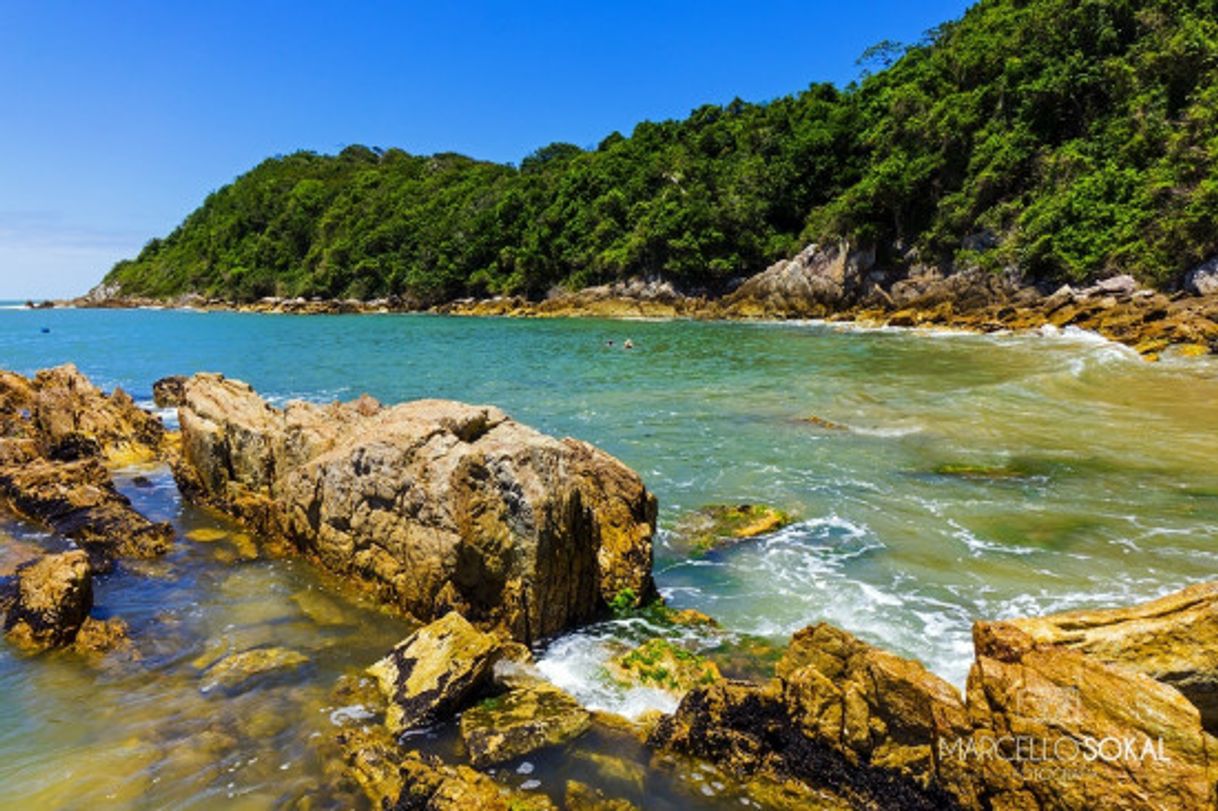 Lugar Praia Da Paciência