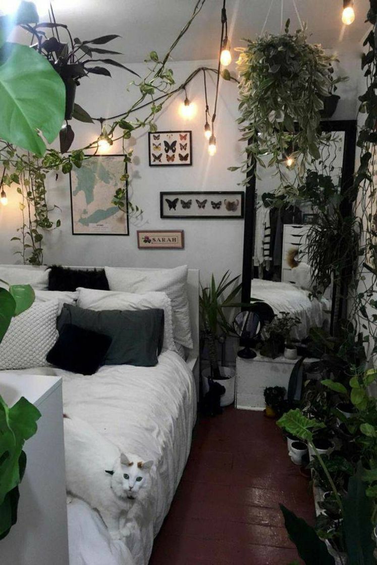 Moda Quarto com Plantas