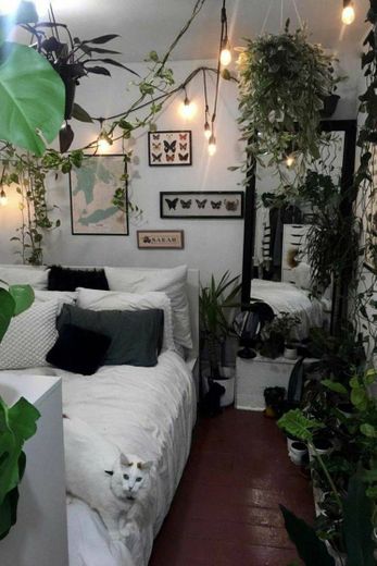 Quarto com Plantas