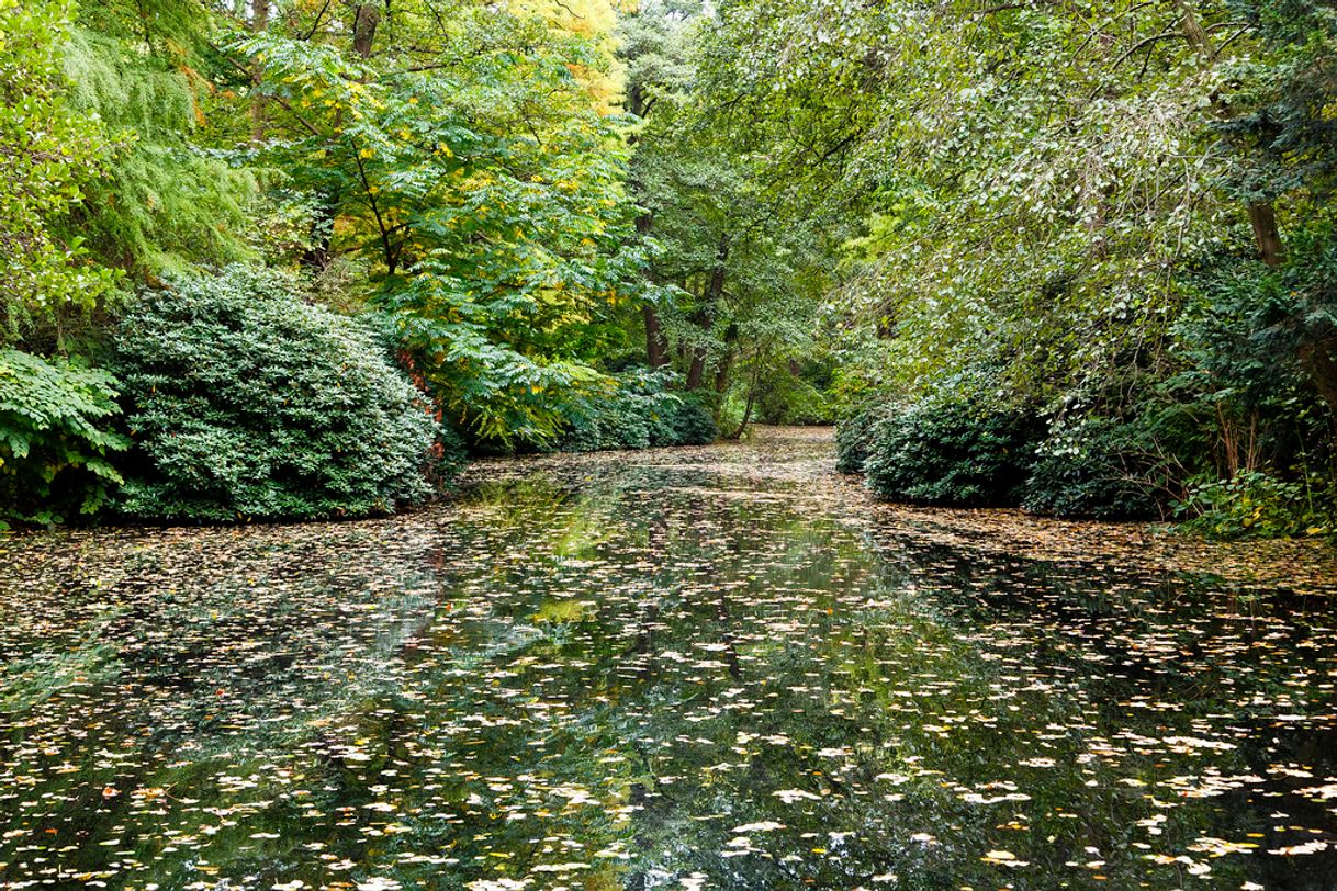 Place Tiergarten