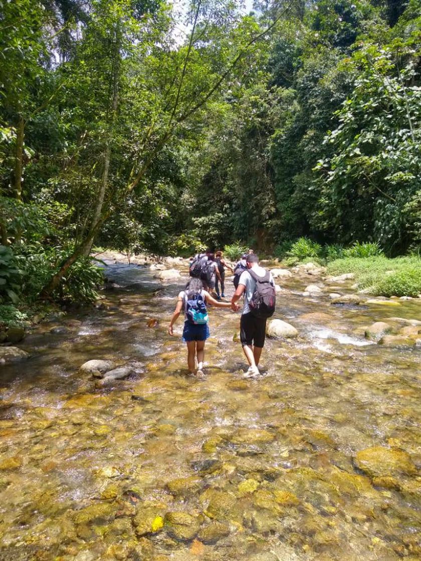 Lugar Trilha Do Rio Mogi - De Paranapiacaba Até Cubatão |