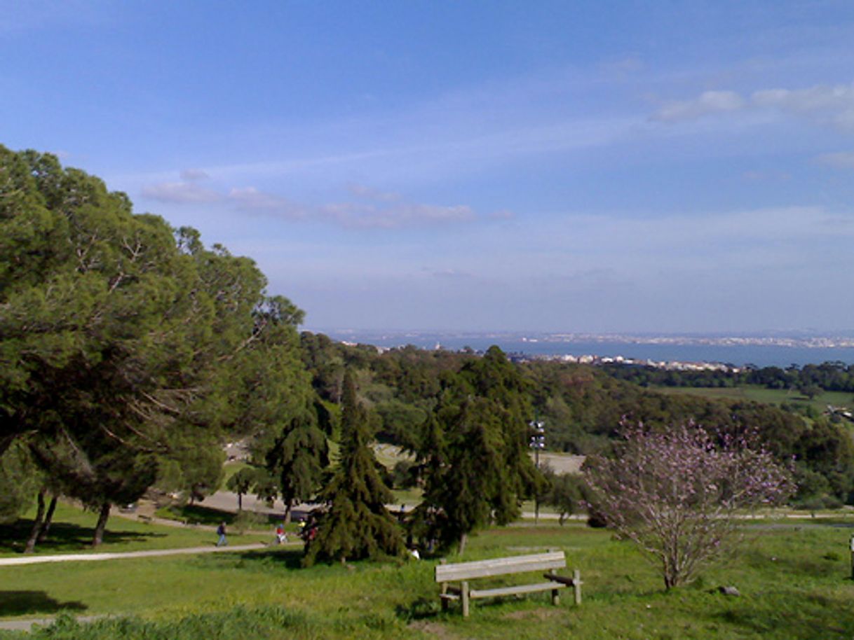 Place Parque Forestal de Monsanto