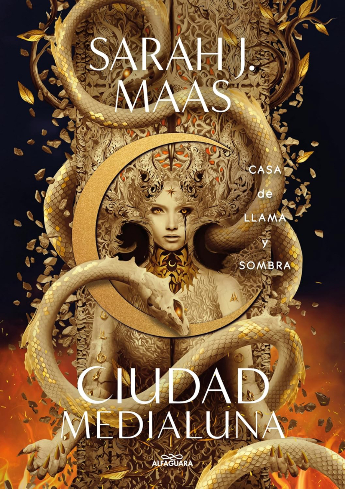Libro Ciudad medialuna 