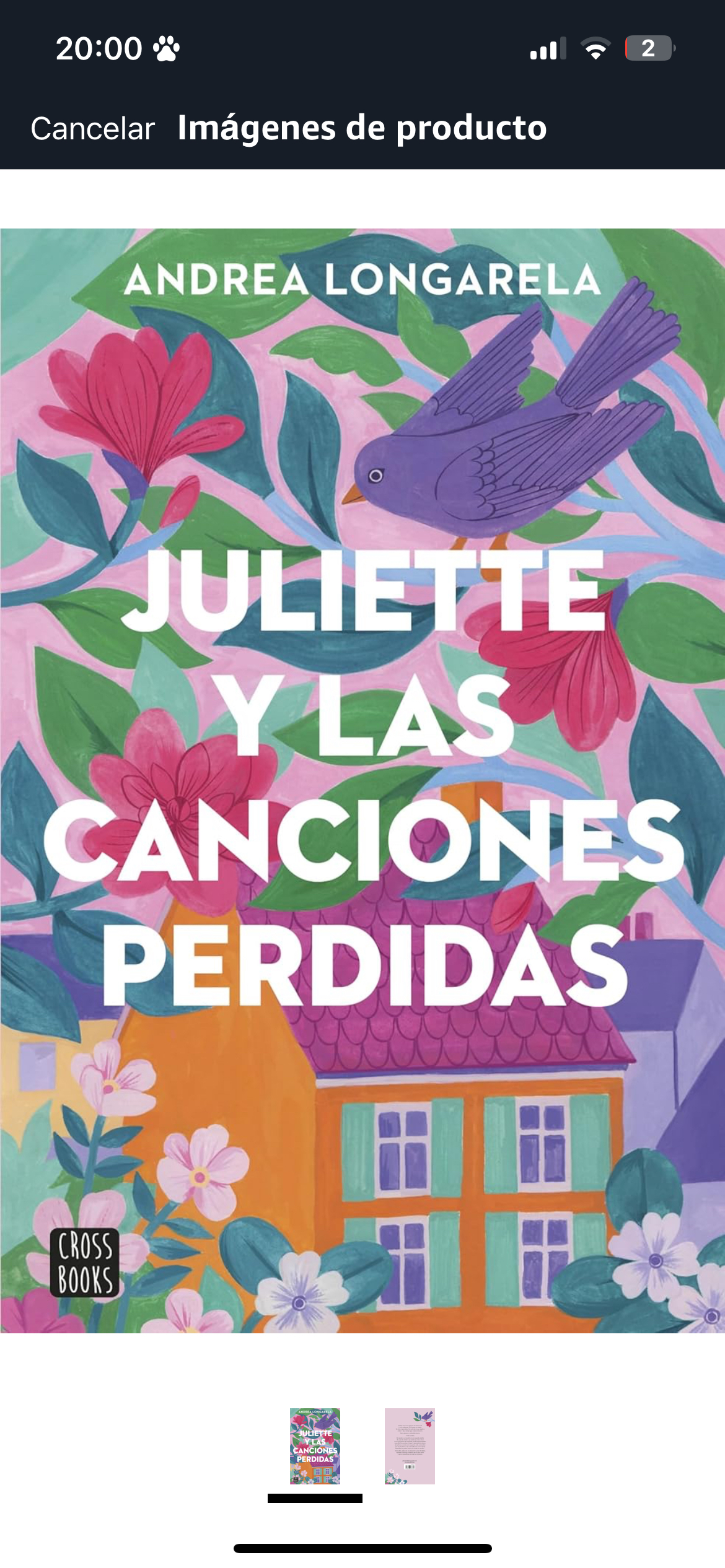 Libro Juliette y las canciones perdidas