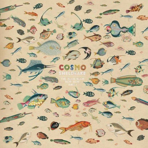 Eggs and Soldiers - Cosmo Sheldrake