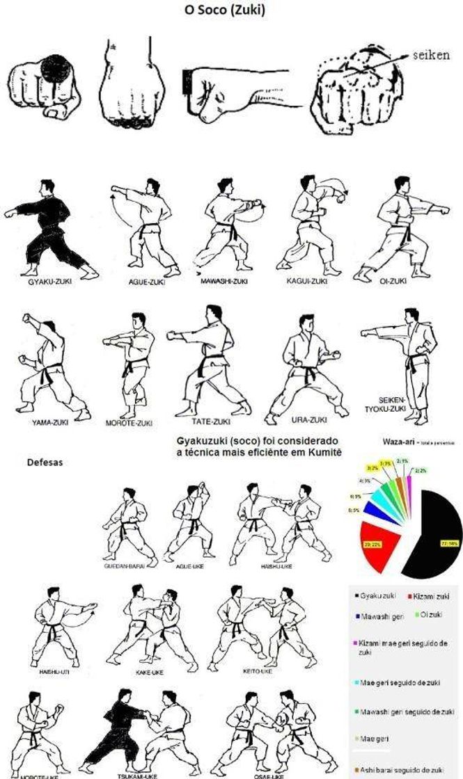 Fashion artes marciais