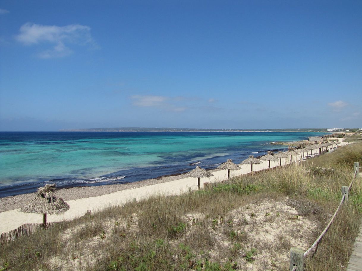 Restaurantes Vogamarí