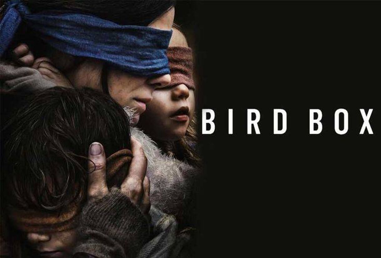 Fashion Bird Box 