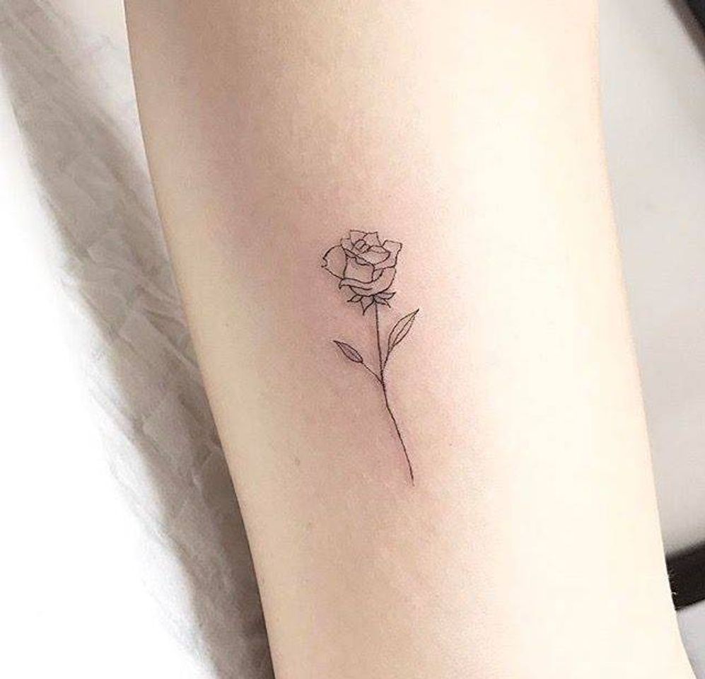 Social Rosa delicada🌹✨