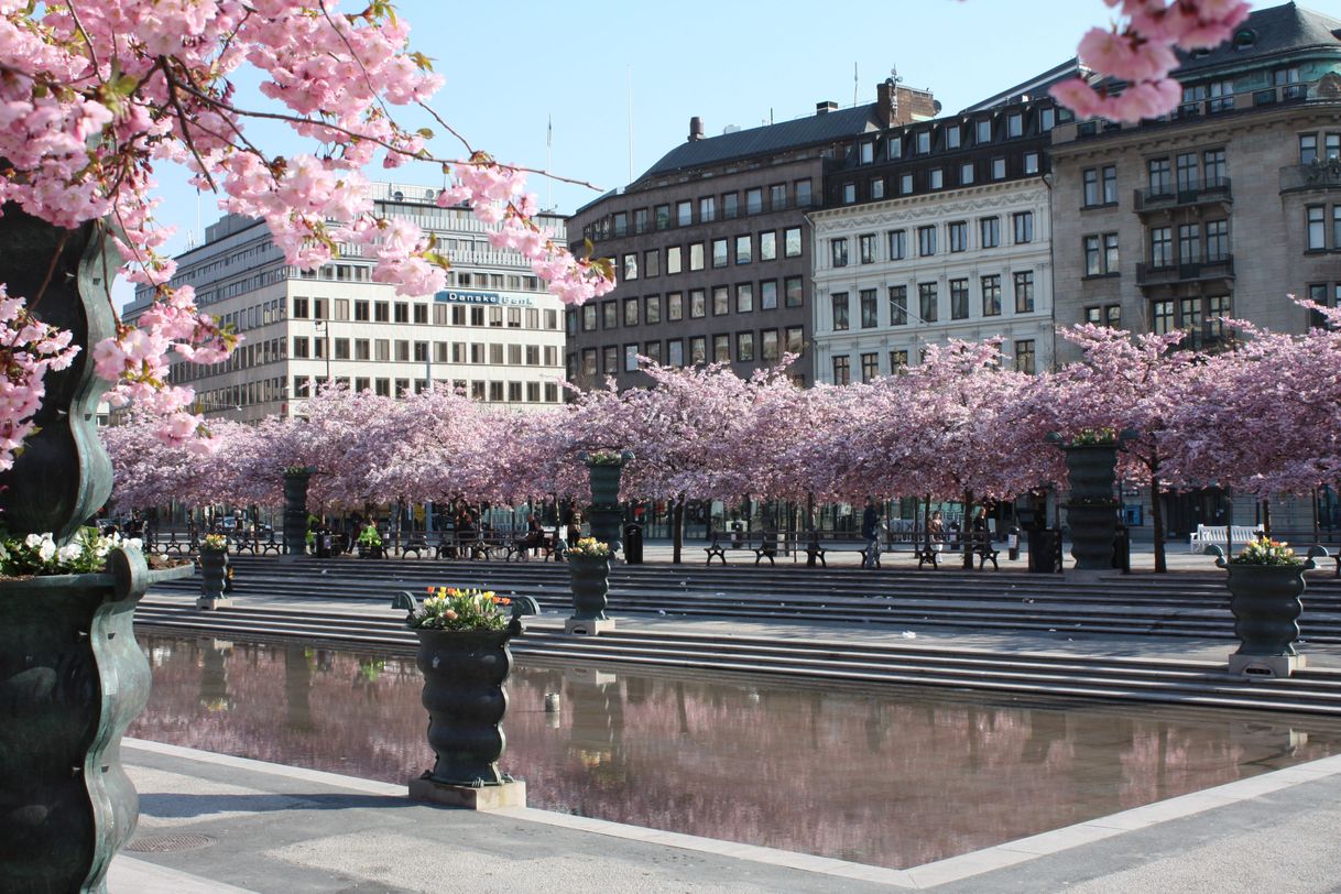 Lugar Kungsträdgården