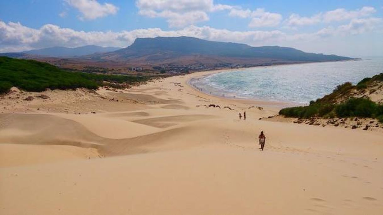 Place Bolonia