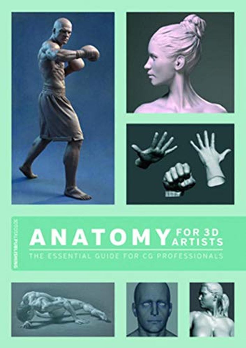 Books Legaspi, C: Anatomy for 3D Artists