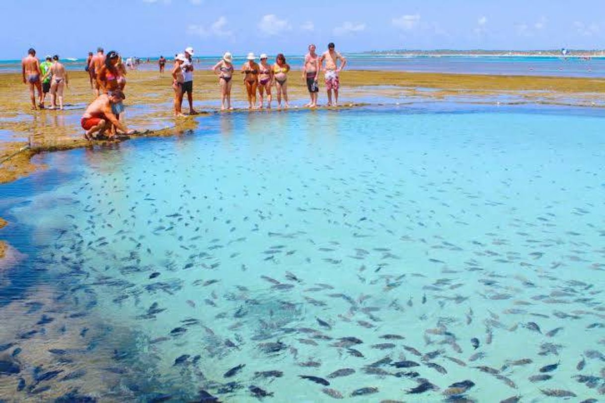 Place Porto de Galinhas