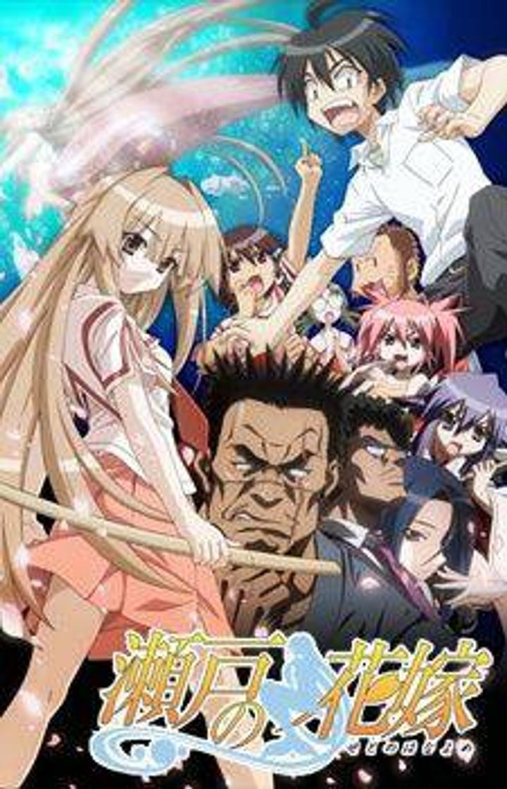 Serie Seto no hanayome